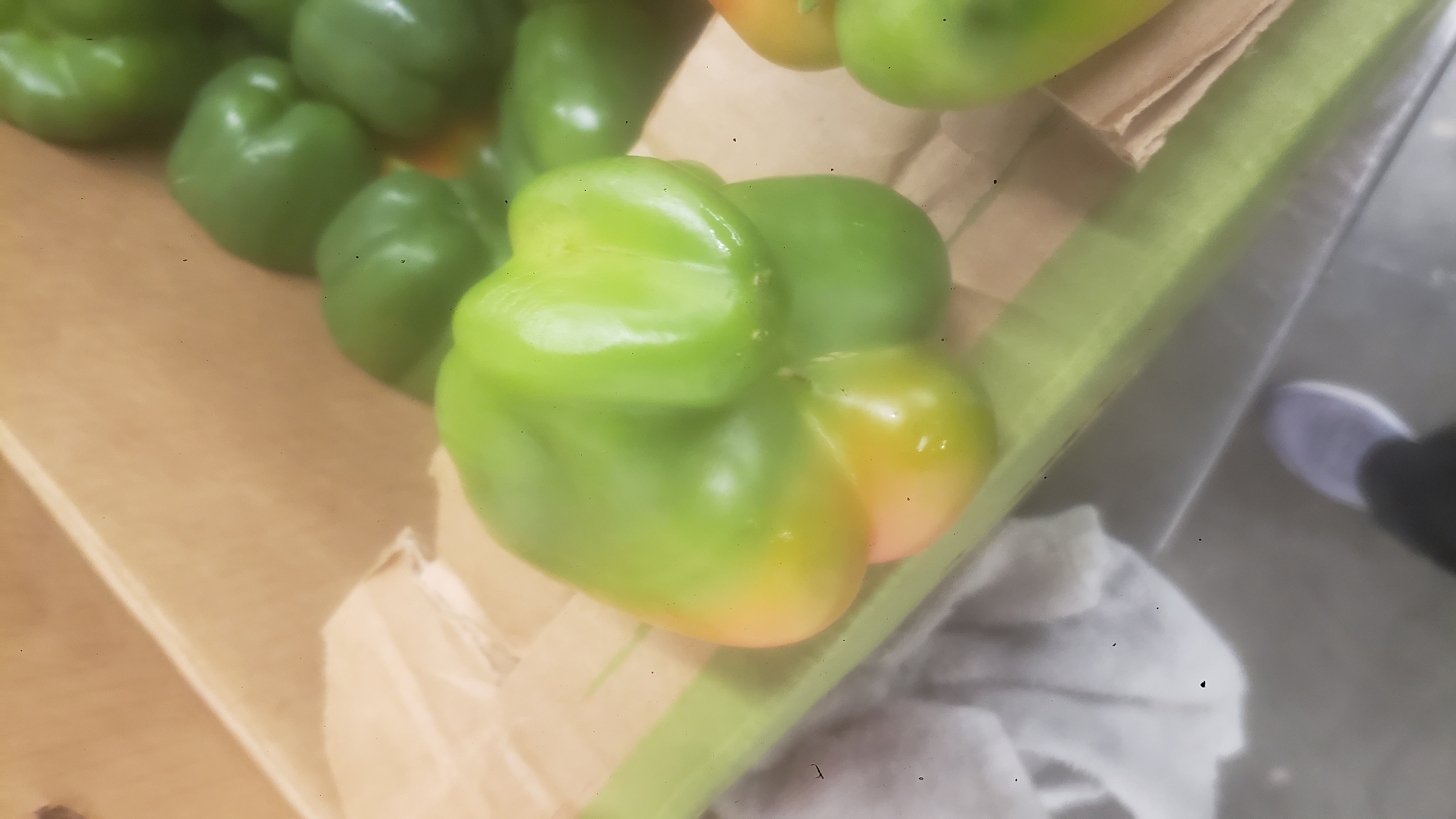 Cardboard box filled with green bell peppers.
